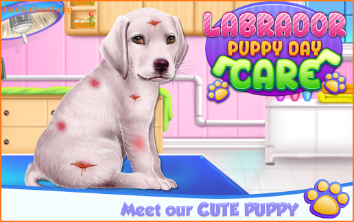 Labrador Puppy Day Care screenshot