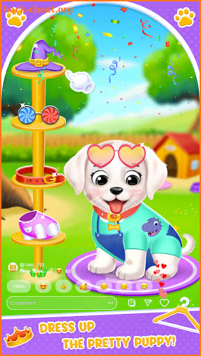 Labrador Puppy Daycare Salon screenshot