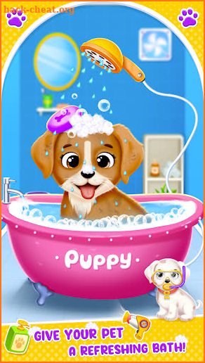 Labrador Puppy Daycare Salon screenshot