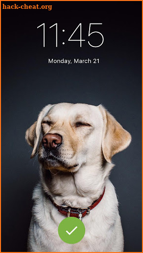 Labrador Retriever Dog PIN Security Pattern Locker screenshot