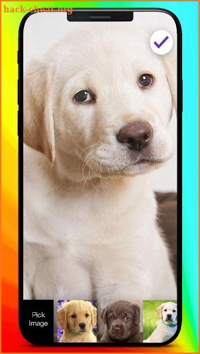 Labrador  Retriever Puppies HD Pattern Lock Screen screenshot