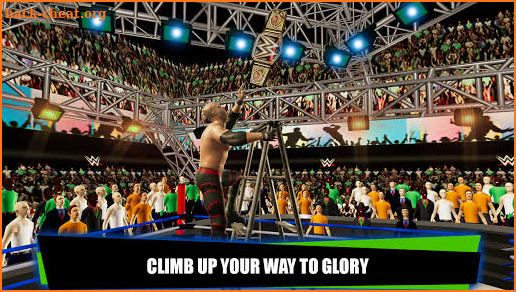 Ladder Match: World Tag Wrestling Tournament 2k18 screenshot