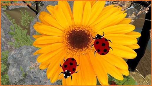Ladybug simulator screenshot