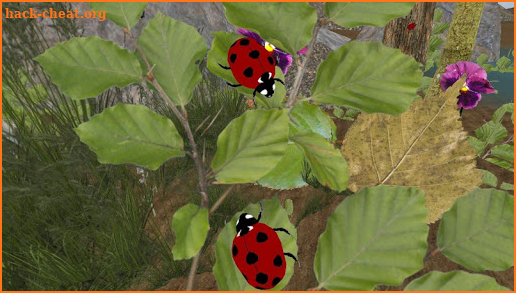 Ladybug simulator screenshot