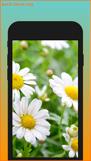Lamota - A flower native to Central Asia screenshot