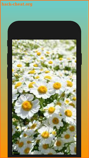 Lamota - A flower native to Central Asia screenshot