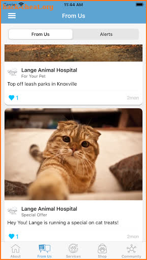 Lange Animal Hospital screenshot