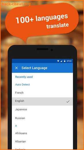 Language translator and dictionary screenshot