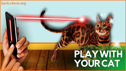 Laser for playing with cat screenshot