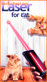 Laser game for cats screenshot
