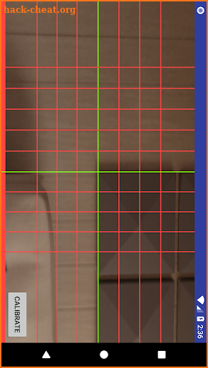 Laser Level Grid screenshot