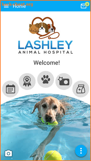 Lashley Animal Hospital screenshot