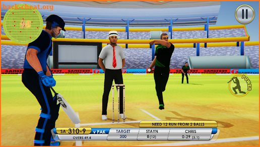 Last Batsman Cricket screenshot