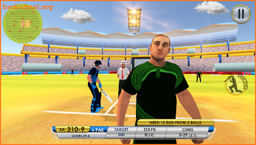 Last Batsman Cricket screenshot