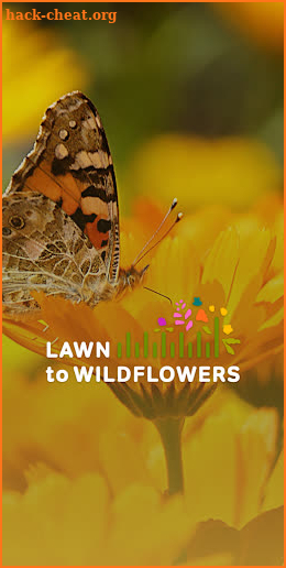 Lawn to Wildflowers screenshot