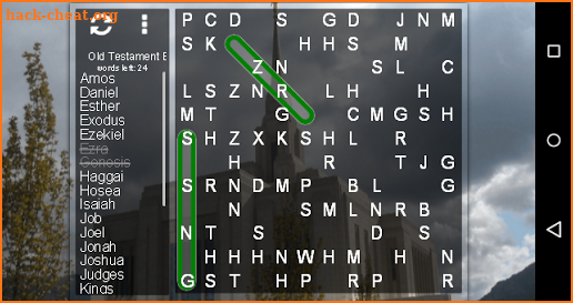 LDS Word Search Puzzle screenshot