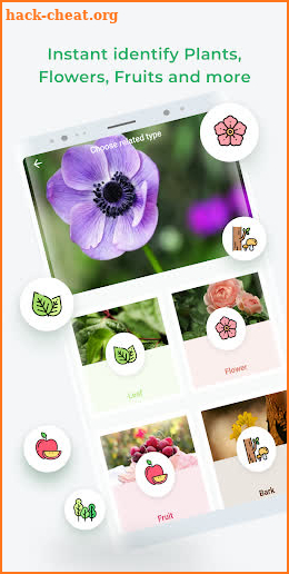 LeafSnap - Plant Identification screenshot
