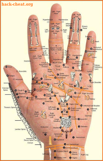 Learn Acupressure Points Acupuncture Tips screenshot