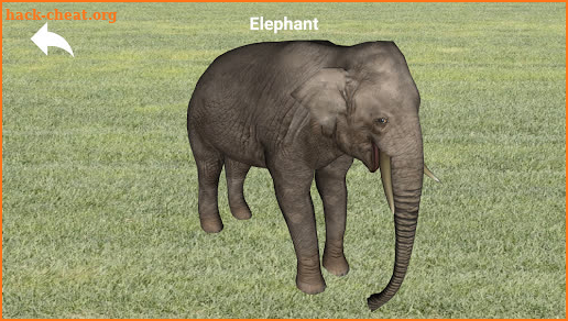 Learn Animals 3D (for kids) screenshot