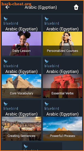 Learn Egyptian Arabic. Speak E screenshot