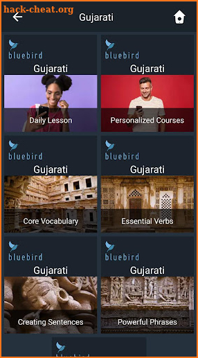 Learn Gujarati. Speak Gujarati screenshot