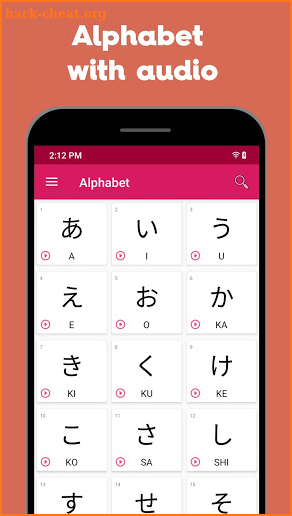 Learn Japanese - N5 > N1 screenshot