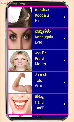 Learn Kannada From English Pro screenshot