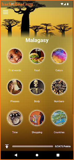 Learn Malagasy screenshot