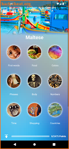 Learn Maltese screenshot