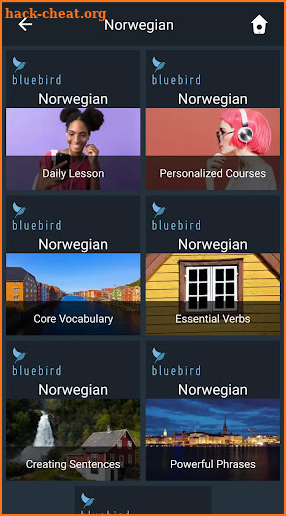 Learn Norwegian. Speak Norwegi screenshot