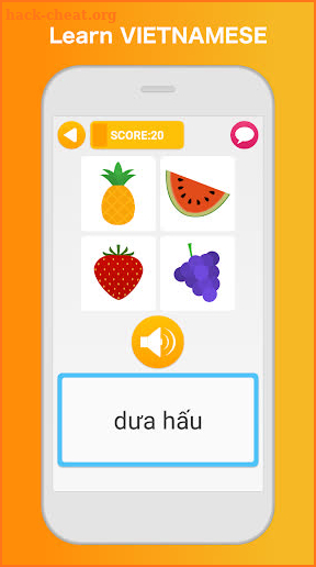 Learn Vietnamese - Language Learning Pro screenshot