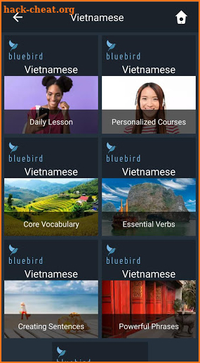 Learn Vietnamese. Speak Vietnamese. screenshot
