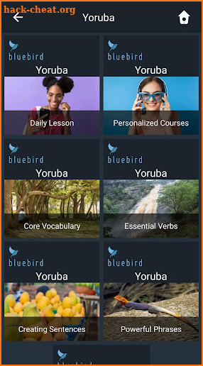 Learn Yoruba. Speak Yoruba. Study Yoruba. screenshot
