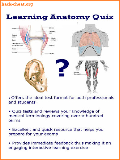 Learning Anatomy Quiz screenshot