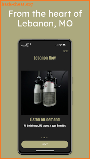 Lebanon Now screenshot
