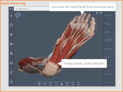 Leg and Foot: 3D RT - Sub screenshot