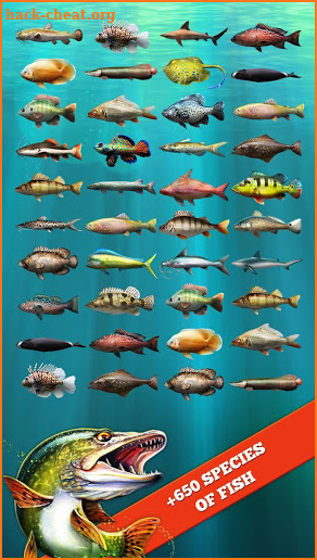 Let's Fish: Sport Fishing Games. Fishing Simulator screenshot