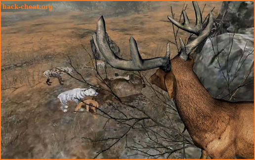 Life Of Deer screenshot