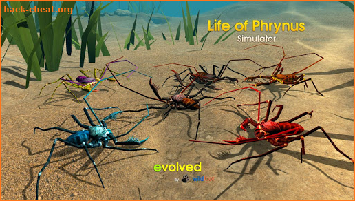 Life of Phrynus - Whip Spider screenshot