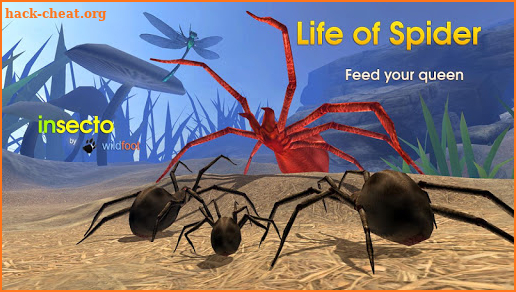 Life of Spider screenshot