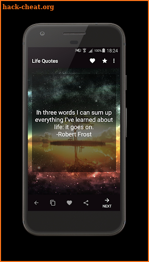 Life Quotes screenshot