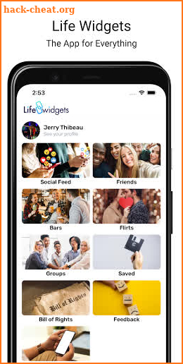 Life Widgets screenshot