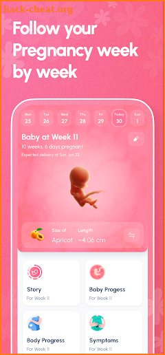 Lifeing - Pregnancy Tracker screenshot