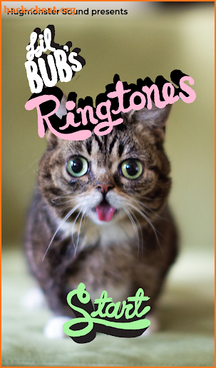 Lil BUB's Ringtones! screenshot