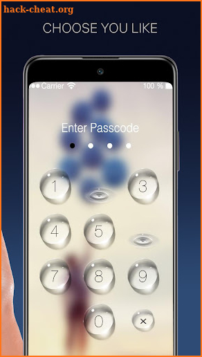 Linus Lock screenshot
