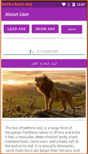 lion screenshot