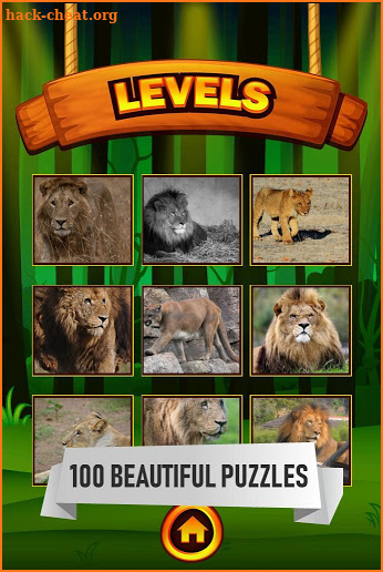 Lion Jigsaw Puzzle Game screenshot