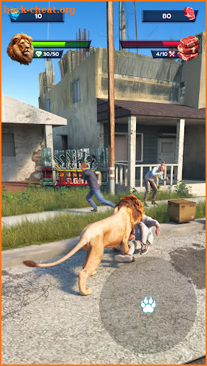 Lion Survival - Wild Beast Sim screenshot