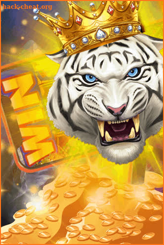 Lion Thunder screenshot