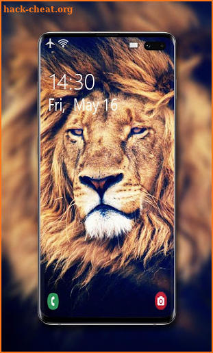 Lion Wallpaper 🦁 screenshot